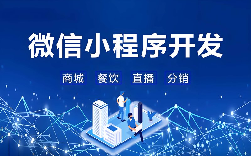 定制化进销存系统：企业运营的催化剂